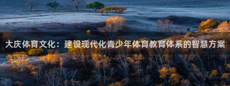 德国尊龙官方正版app集团：大庆体育文化：建设现代化青少年体