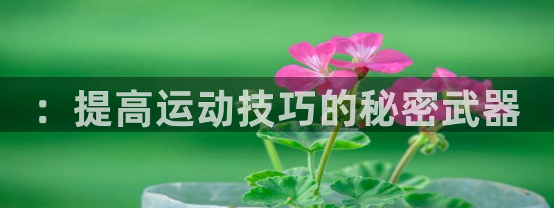 海南尊龙官网下载