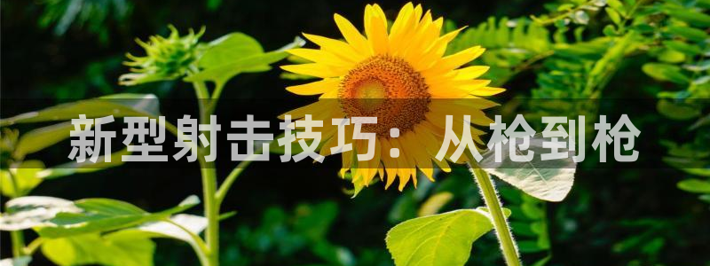尊龙官网下载招商电话地址是多少