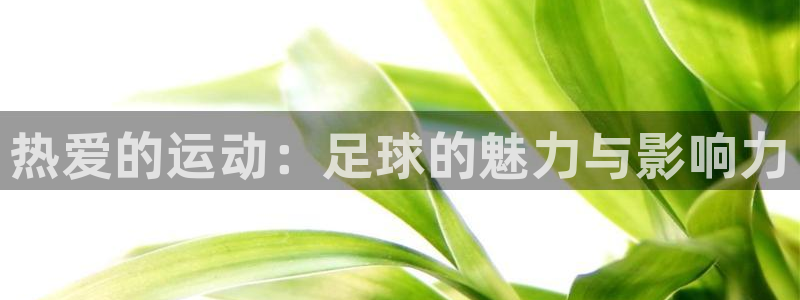 海南尊龙官网下载：热爱的运动：足球的魅力与影响力