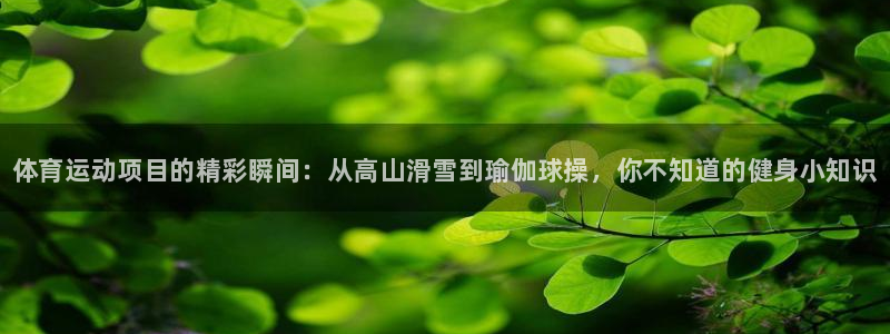 尊龙官网下载招商电话号码查询是多少：体育运动项目的精