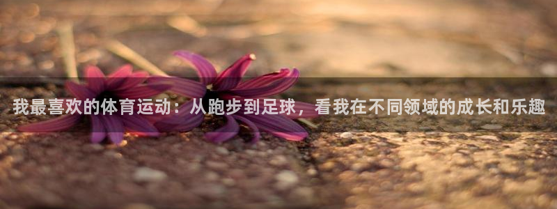 尊龙官网下载平台是正规平台吗知乎：我最喜欢的体育运动