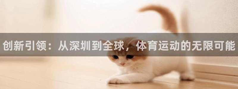 德国尊龙官方正版app集团：创新引领：从深圳到全球，