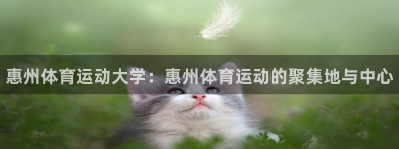 尊龙官方正版app娱乐平台：惠州体育运动大学：惠州体