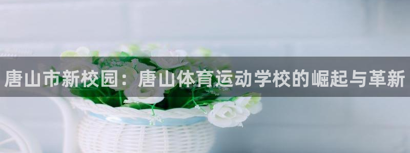 尊龙官方正版app官网：唐山市新校园：唐山体育运动学