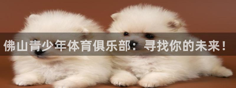 海南尊龙官网下载：佛山青少年体育俱乐部：寻找你的未来