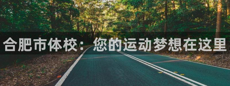 德国尊龙官方正版app集团：合肥市体校：您的运动梦想