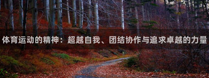 尊龙官网下载：体育运动的精神：超越自我、团结协作与追